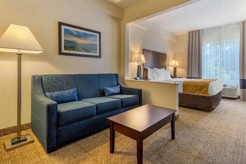 Comfort Suites Gastonia 2