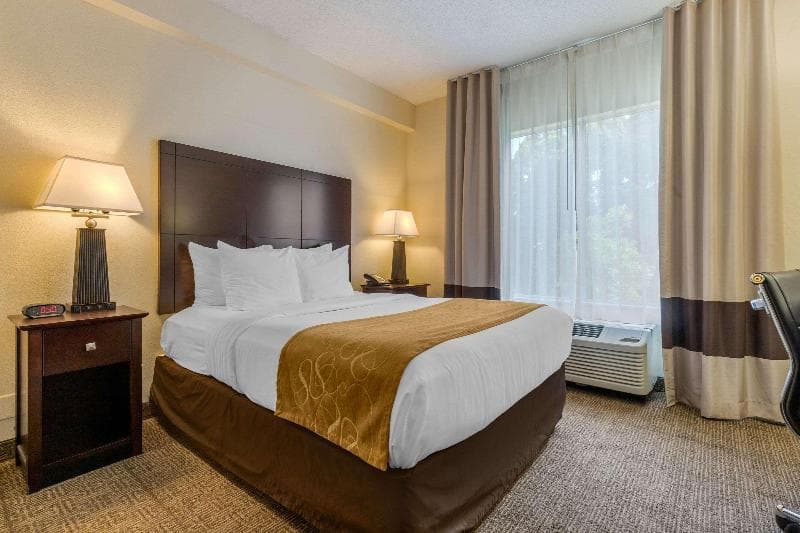 Comfort Suites Gastonia 3
