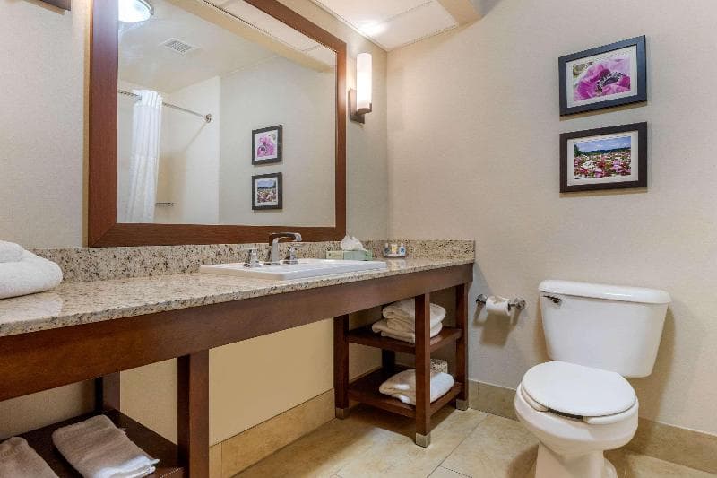 Comfort Suites Gastonia 4