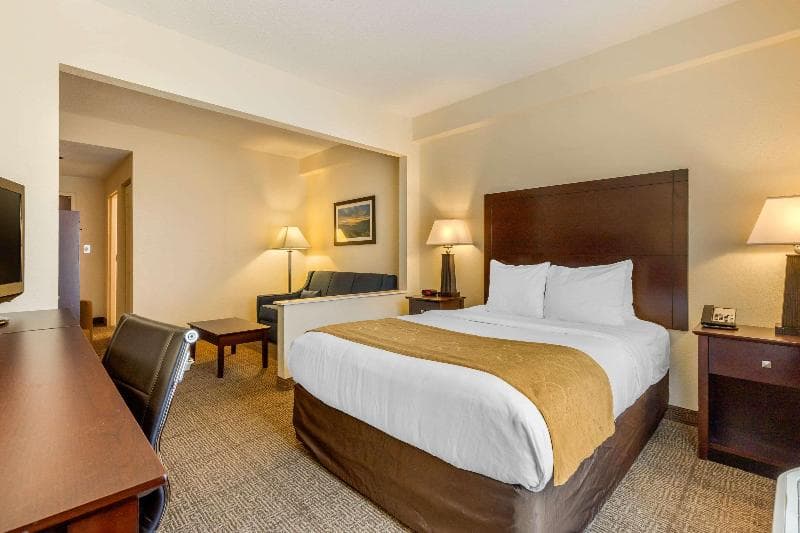 Comfort Suites Gastonia 5