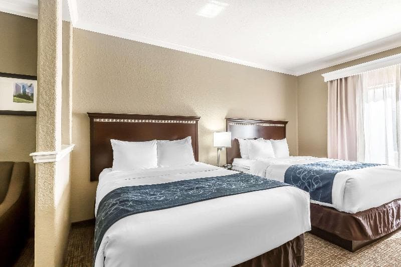 Comfort Suites Houston IAH Airport - Beltway 8 5