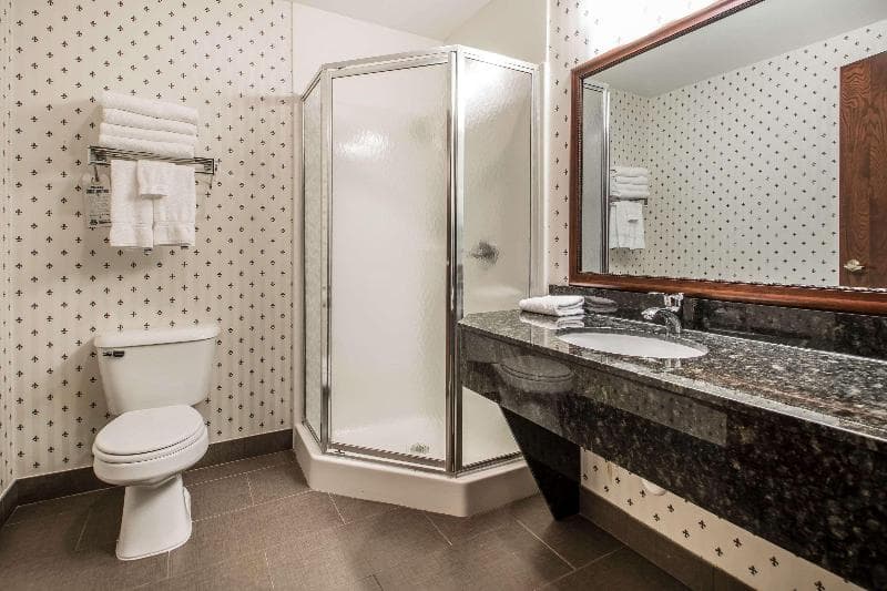 Comfort Suites Madison 3