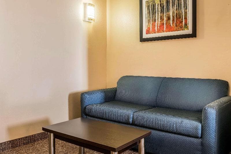 Comfort Suites Miamisburg - Dayton South 4