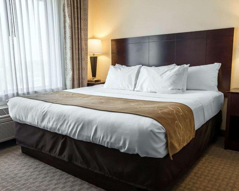 Comfort Suites University Area photo 1