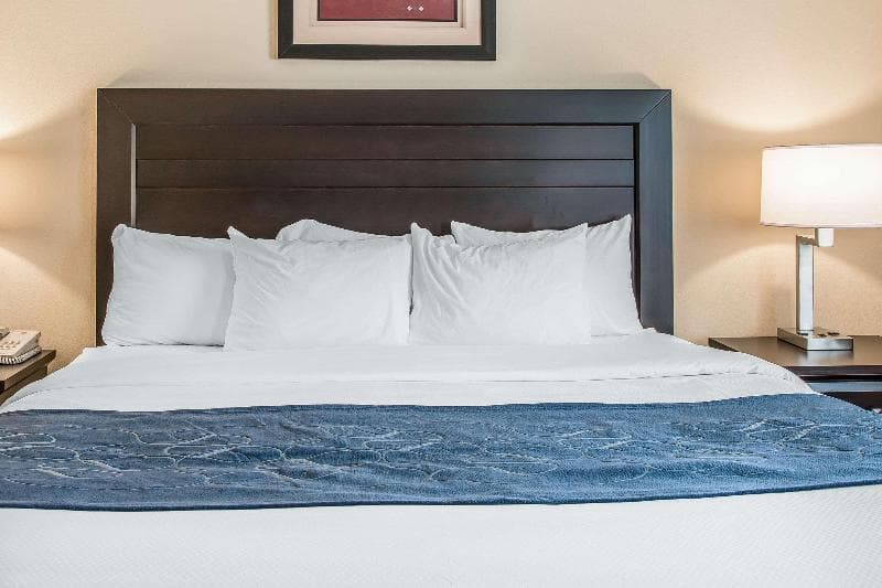 Comfort Suites South Bend 2