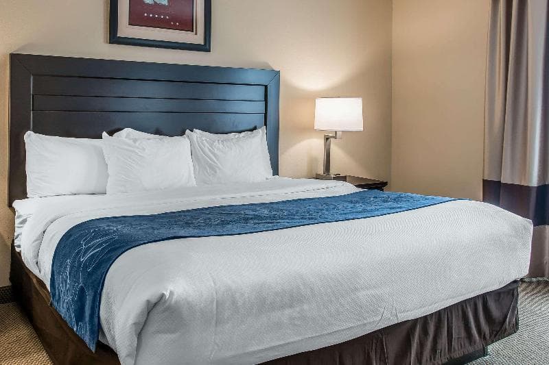 Comfort Suites South Bend 3