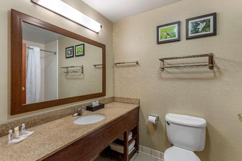 Comfort Suites Southaven I-55 4