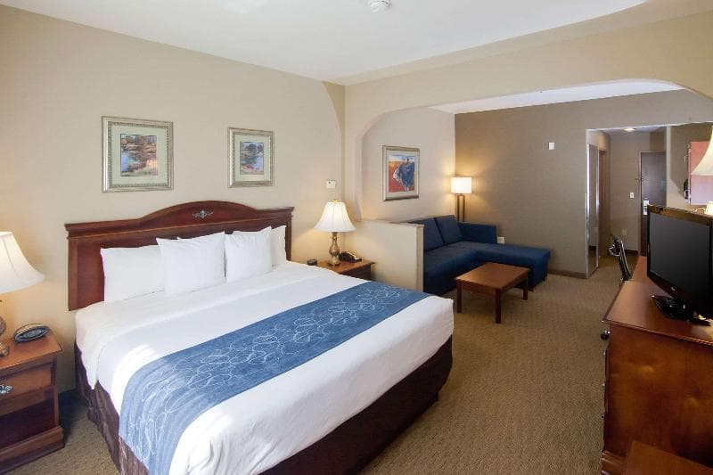 Comfort Suites Waco 5