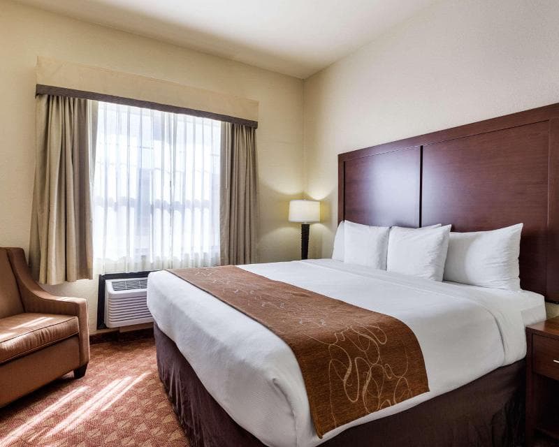Comfort Suites near Nasa - Clear Lake 4
