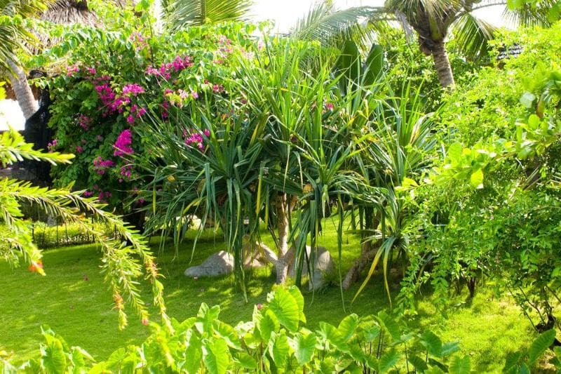 Hoang Ngoc Resort 5