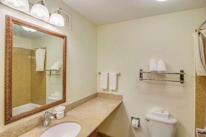Mainstay Suites Texas Medical Center/Reliant Park 5