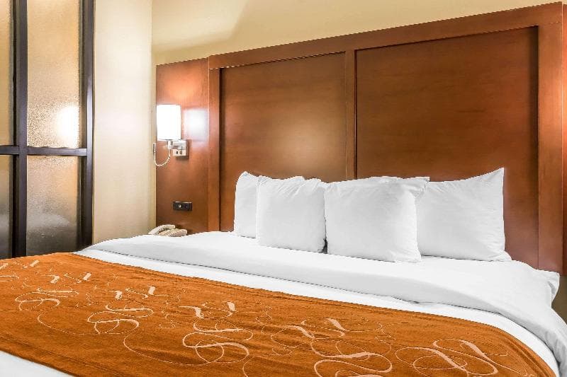 Comfort Suites Savannah North 2