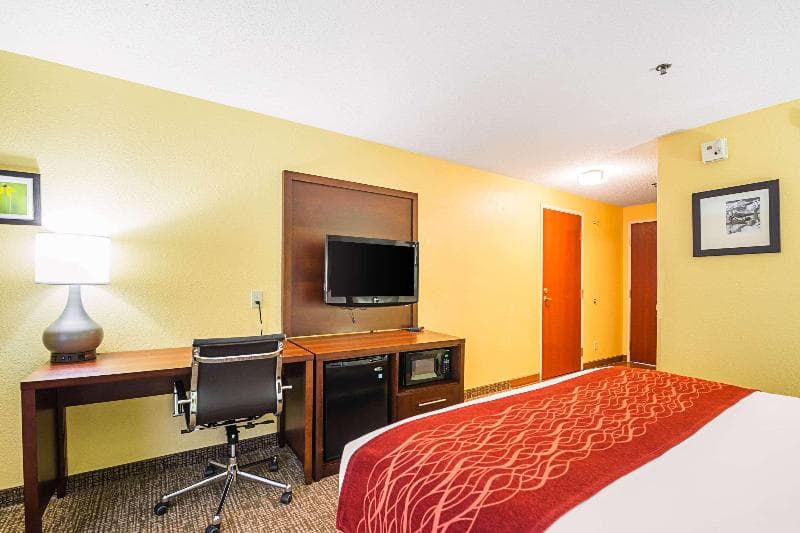 Comfort Inn & Suites Dayton 2
