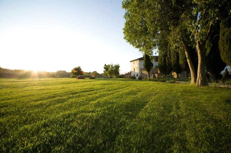 Villa Campestri Olive Oil Resort 2