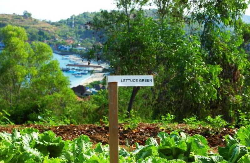 Bloo Lagoon Village 4