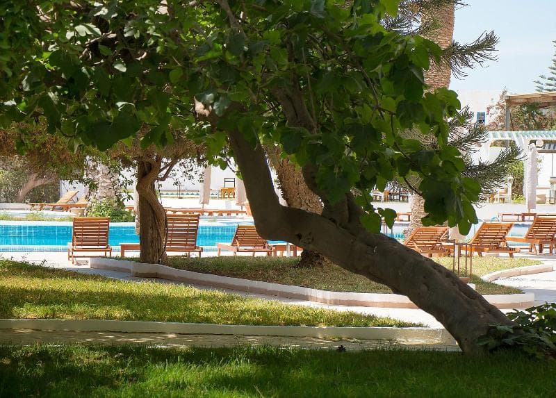 Novostar Bel Azur Thalassa & Bungalows 3