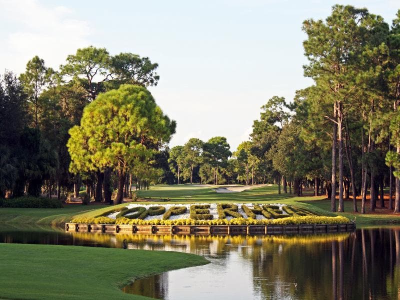 Innisbrook A Salamander Golf And Spa Resort photo 1
