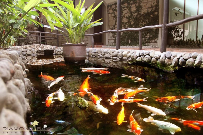 Diamond Bay Resort & Spa photo 1