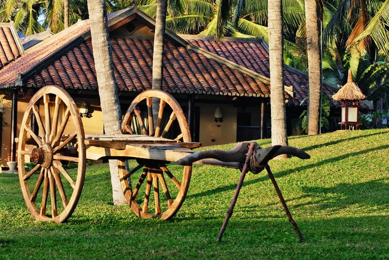 Seahorse Resort & Spa 4