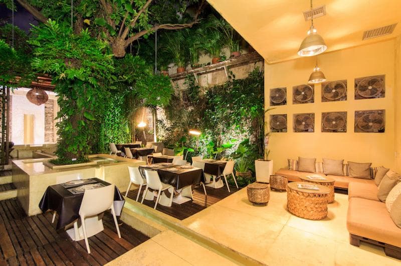 Casa Lola Luxury Collection 1