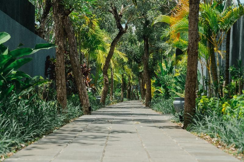 The Javana Royal Villas main