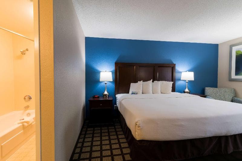 Baymont by Wyndham Detroit Airport/Romulus 2