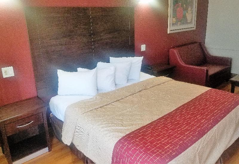 Red Roof Inn And Suites Houston - Hobby Airport 5