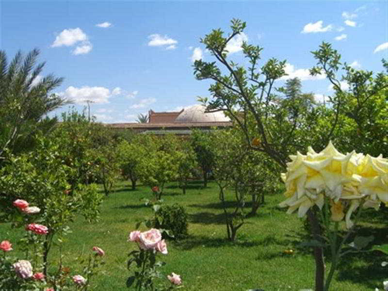 Dar Zitoune 5