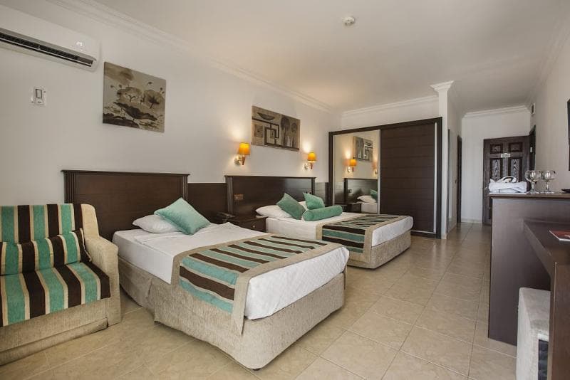 Kleopatra Royal Palm 2
