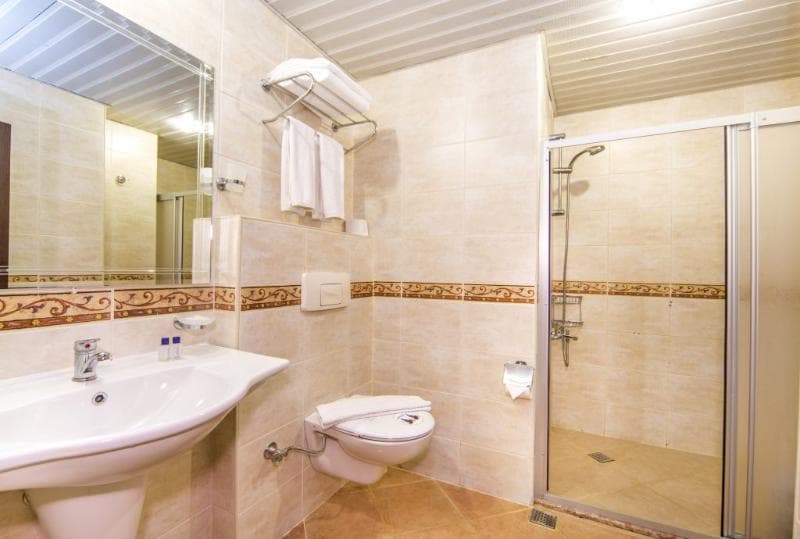 Kleopatra Royal Palm 3