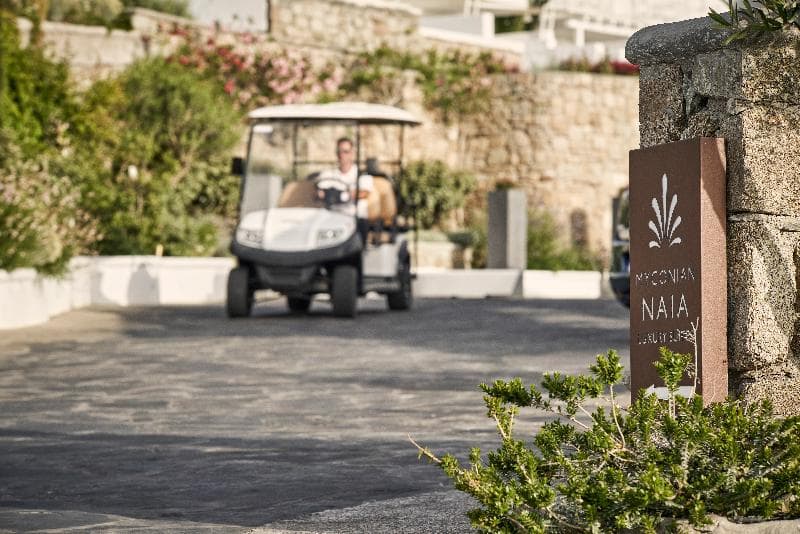 Myconian Naia (Adults only) 5