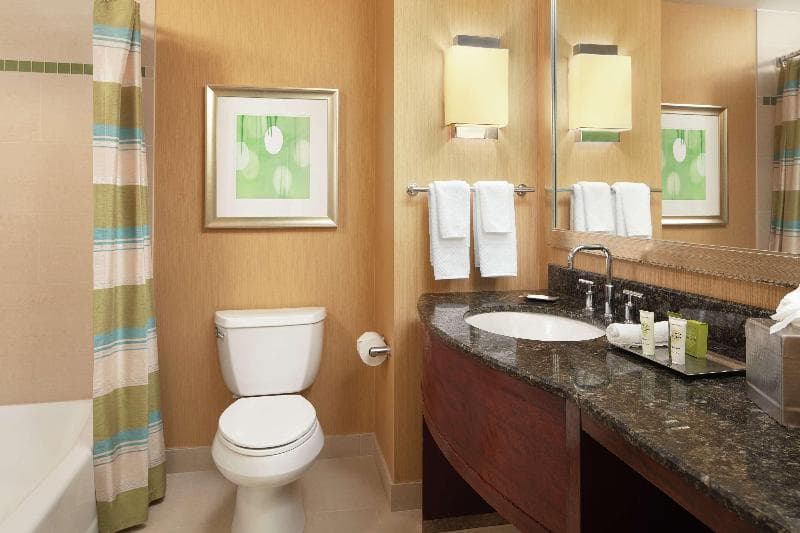 Hilton Orlando 5