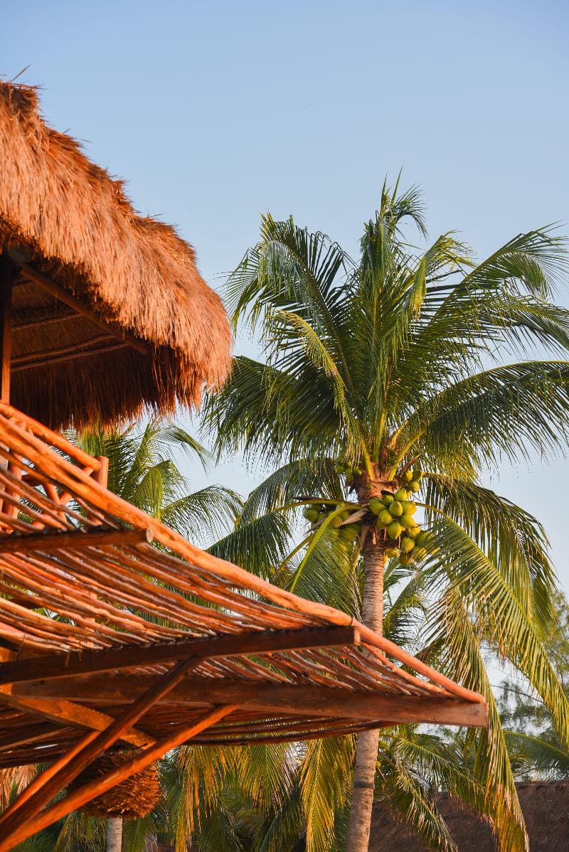 Viceroy Riviera Maya, a Luxury Villa Resort - Adults Only photo 1