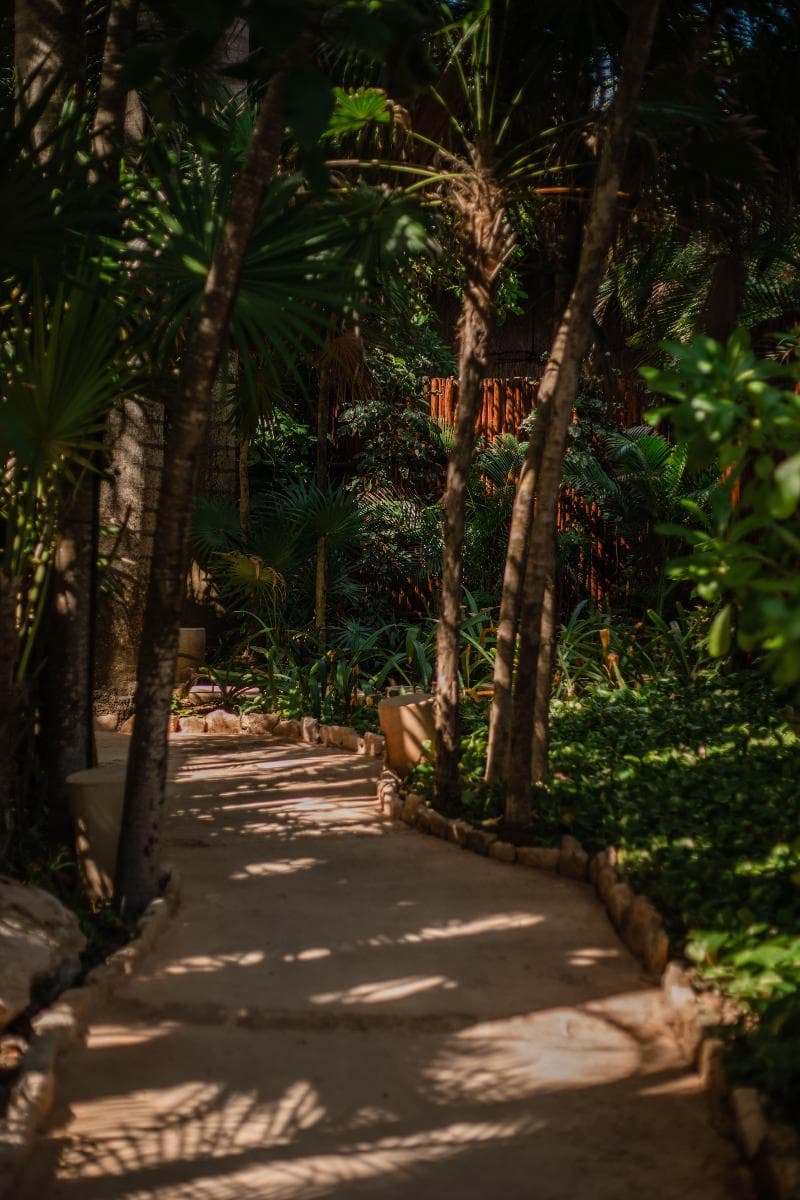 Viceroy Riviera Maya, a Luxury Villa Resort - Adults Only 3