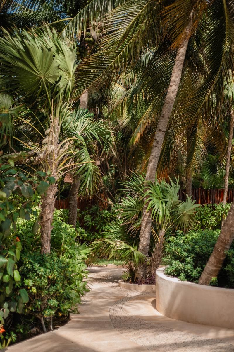 Viceroy Riviera Maya, a Luxury Villa Resort - Adults Only 4