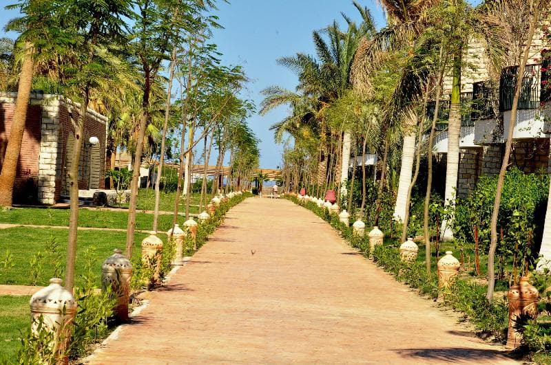 Aladdin Beach Resort 2