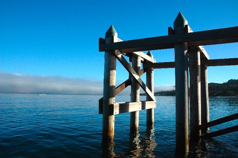 The Heads Hokianga 4