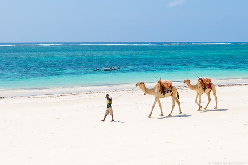 Nomad Beach Resort 4