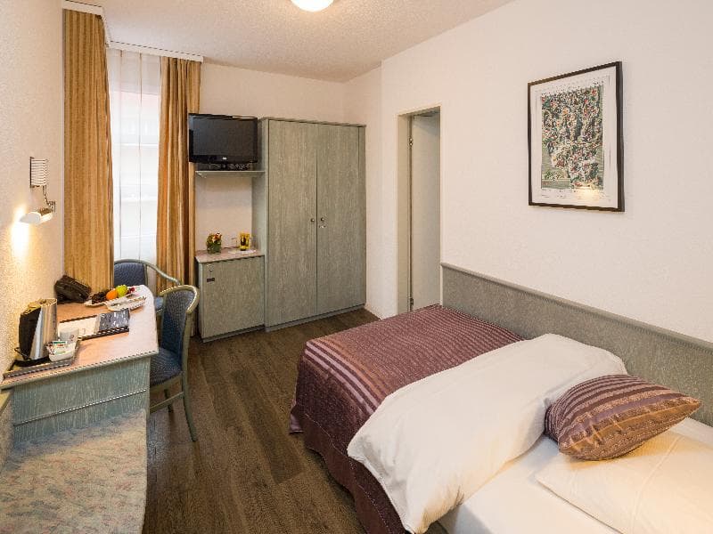 Hotel Sommerau-Ticino 4