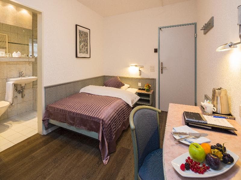 Hotel Sommerau-Ticino 5