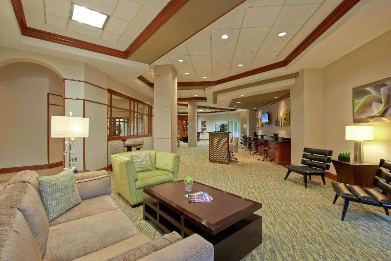 Hilton Grand Vacations Club Paradise Las Vegas 5