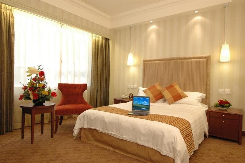 Oasis Avenue 5
