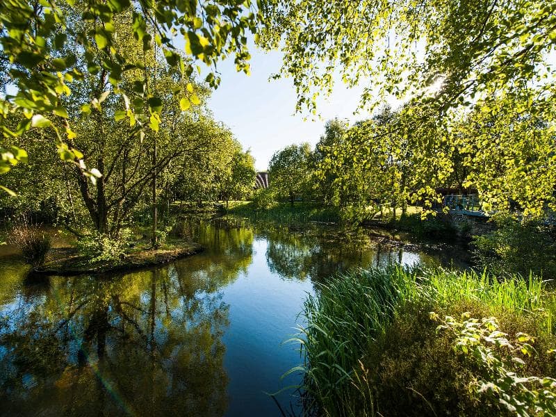 Chevin Country Park Hotel & Spa 3