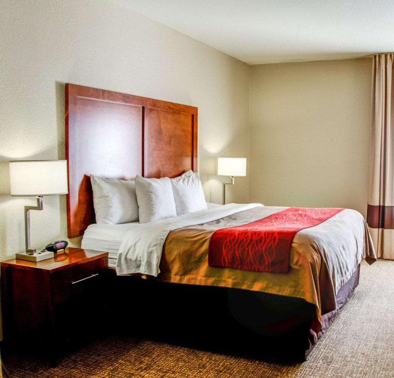 Comfort Inn Bessemer 3