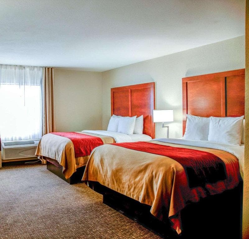 Comfort Inn Bessemer 5