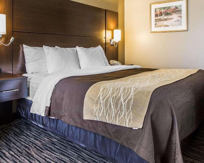 Quality Inn 3