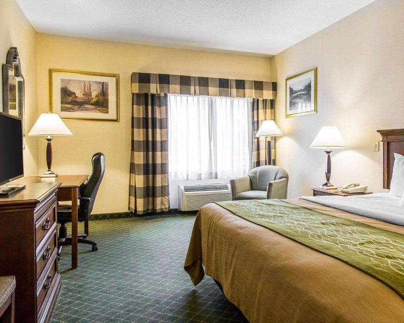 Comfort Inn 3