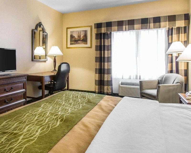 Comfort Inn 5