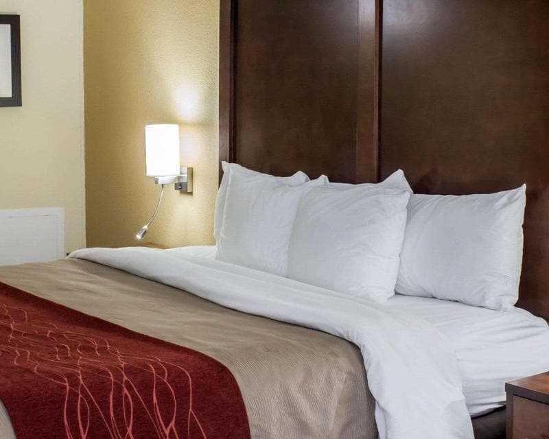 Comfort Inn 4