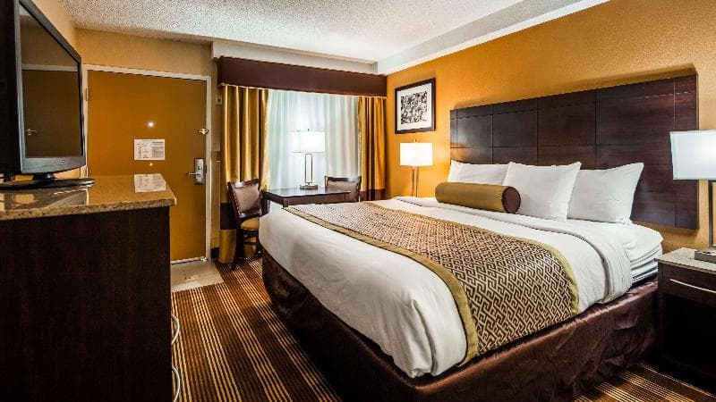 Best Western Cape Cod Hotel 5
